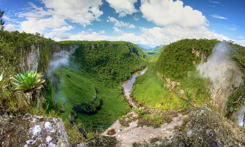 Territoire guyanais - Conserver la diversité génétique avec le cryobanking - Programme Guyane - Association Beauval Nature