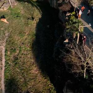 L’envolée de Beauval : 4 parcours pour tous les âges et tous les niveaux