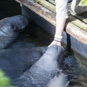 Jeu-concours Instagram : célébrez la biodiversité et remportez des cadeaux !