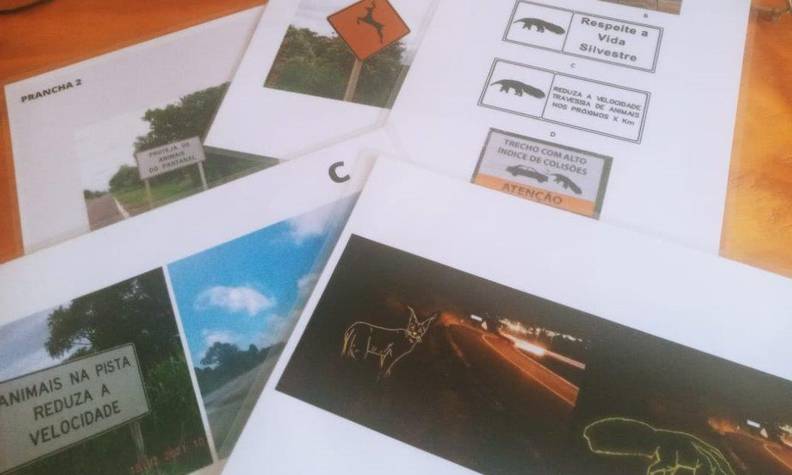 Documents pour sensibiliser la population aux accidents d'animaux sauvages sur les routes - Réintroduire, suivre et protéger le fourmilier géant - Programme Brésil - Association Beauval Nature
