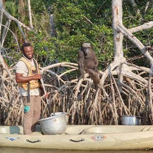 Lancement d’un séjour immersif au cœur de la conservation avec HELP Congo