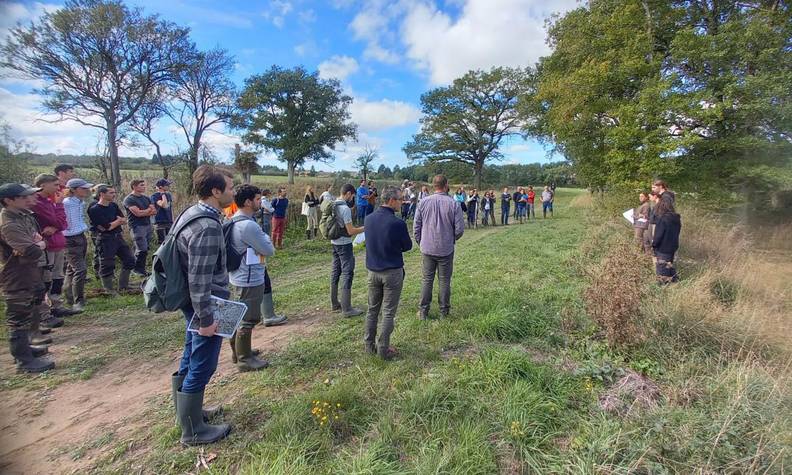 État des lieux de la population de pélobate brun - Détecter et protéger le pélobate brun pour éviter son extinction - Programme France - Association Beauval Nature