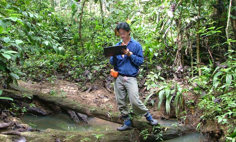 Étude sur le terrain - Certifier les plantations d’huile de palme pour protéger la biodiversité - Programme Malaisie - Association Beauval Nature