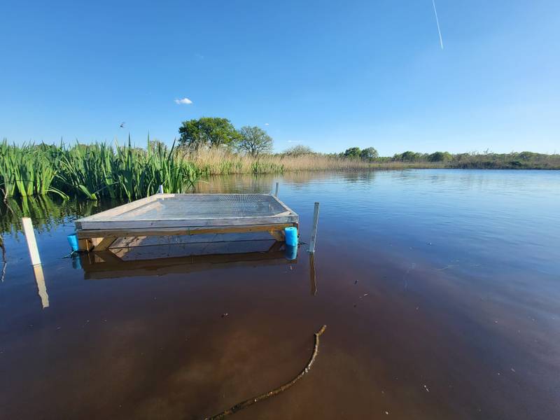 Protective enclosure