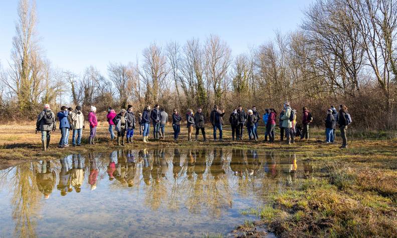 Misson autour d'une mare - Le vison d'Europe, une espèce à sauver à tout prix - Programme France - Association Beauval Nature