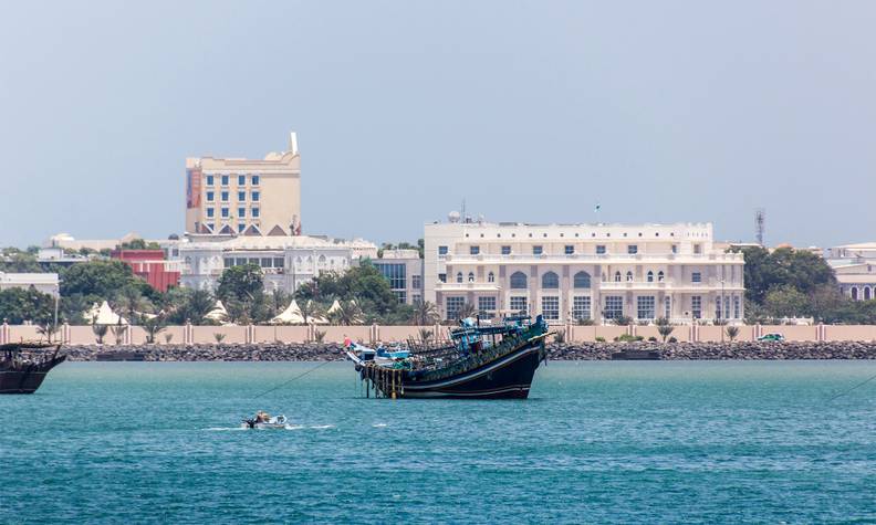 Ville Djibouti - Rédiger un guide de l’avifaune djiboutienne - Programme Djibouti - Association Beauval Nature