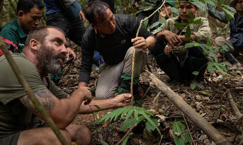 Recherche sur le saola - Rechercher, surveiller et aider à sauver le saola - Programme Laos et Vietnam - Association Beauval Nature
