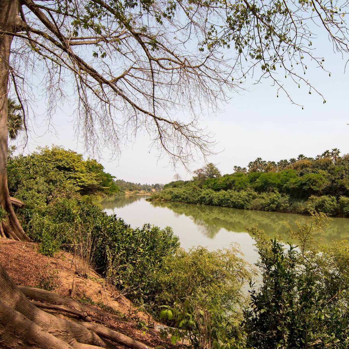 Cours d'eau sur le parc Niokolo Koba - Restaurer les populations de 5 espèces clés du parc Niokolo Koba - Programme Sénégal - Association Beauval Nature