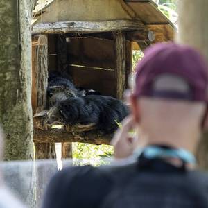 Journée des Parrains : un rendez-vous incontournable au ZooParc de Beauval