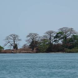 Protéger la faune et la flore de l’archipel des Bijagós - Programme Guinée-Bissau - Association Beauval Nature