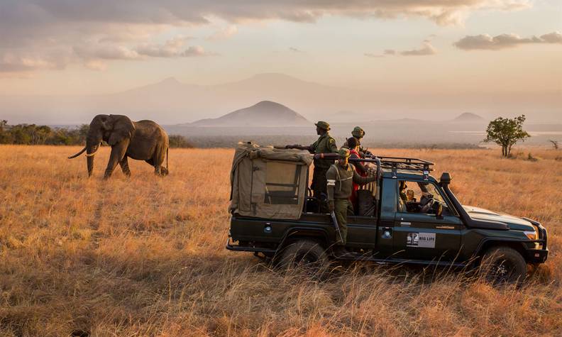 Gardes et éléphant - Protéger les éléphants du Rambo Group Ranch - Programme Kenya - Association Beauval Nature