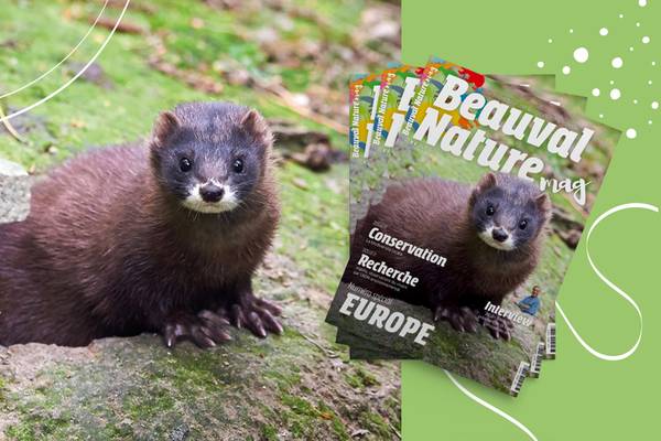Magazine Beauval Nature numéro 4 - Conservation - Association Beauval Nature - ZooParc de Beauval