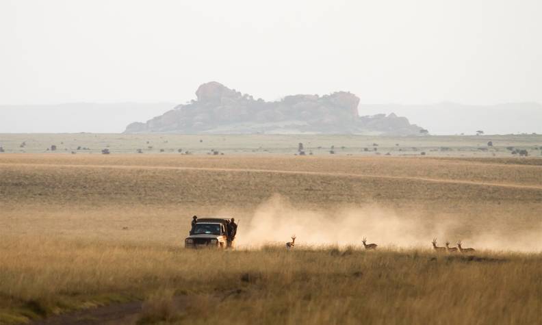 Aire protégée au Kenya abritant une faune exceptionnelle - Protéger les éléphants du Rambo Group Ranch - Programme Kenya - Association Beauval Nature