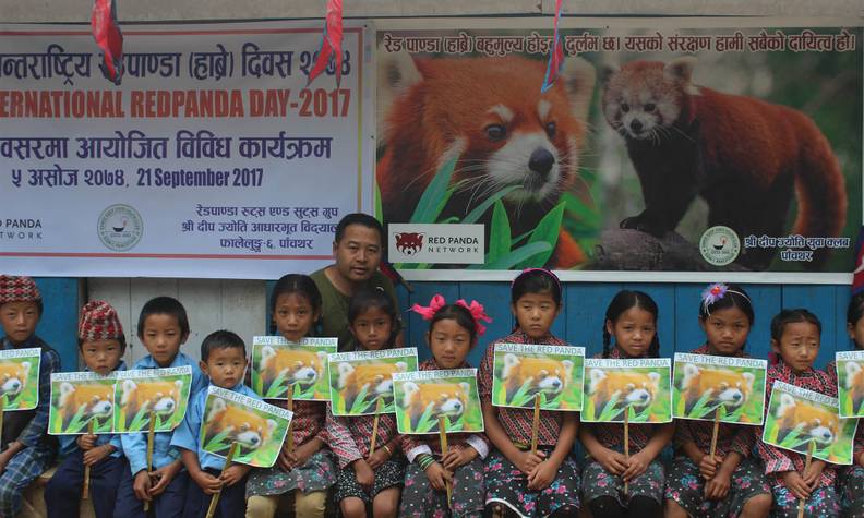 Sensibiliser la population - Garder, surveiller et protéger les pandas roux dans leurs forêts - Programme Népal - Association Beauval Nature