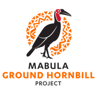 Logo Mabula