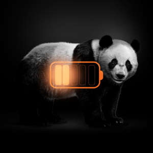 Temps restant avant extinction : une campagne qui alerte sans détour