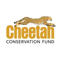 Logo Cheetah Conservation Fund