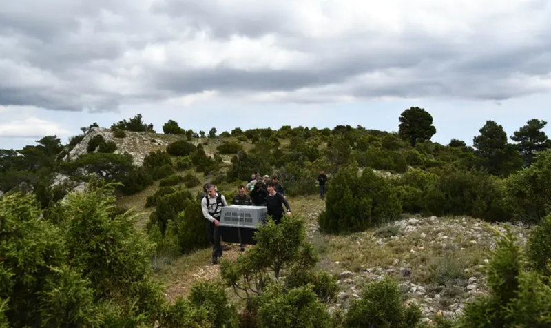 Release of a bearded vulture – Breeding, reintroducing and monitoring bearded vultures to ensure their conservation – France Programme – Beauval Nature Association