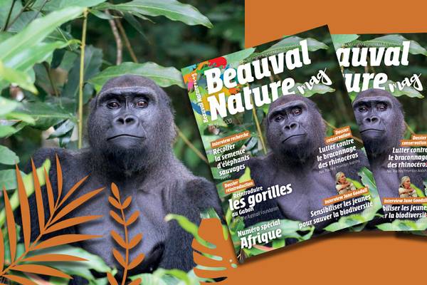 Magazine Beauval Nature numéro 2 - Conservation - Association Beauval Nature - ZooParc de Beauval