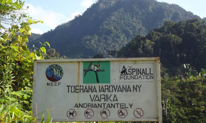 Forêt d’Andriantantely à protéger - Protéger les différentes espèces de lémuriens endémiques de Madagascar - Programme Madagascar - Association Beauval Nature