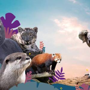 Quel est votre animal totem ? Jouez et gagnez des parrainages d’une valeur de 1000 € et des entrées !