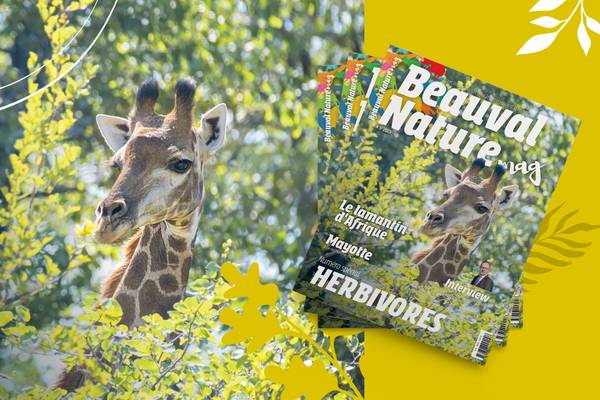 Sortie Magazine Beauval Nature - Livres - Association Beauval Nature