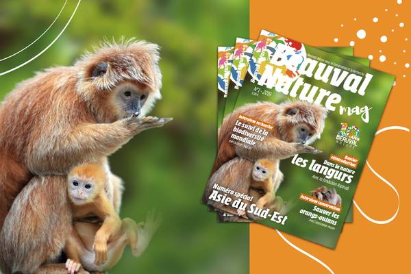 Magazine Beauval Nature numéro 1 - Conservation - Association Beauval Nature - ZooParc de Beauval