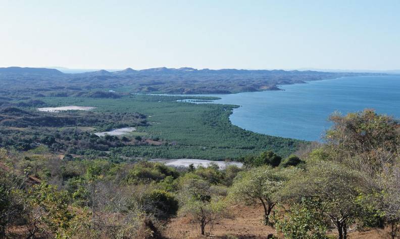 Parc national Sahamalaza - Protéger le lémur aux yeux turquoise en préservant son habitat - Programme Madagascar - Association Beauval Nature