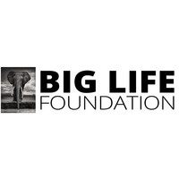 Logo Big Life Foundation