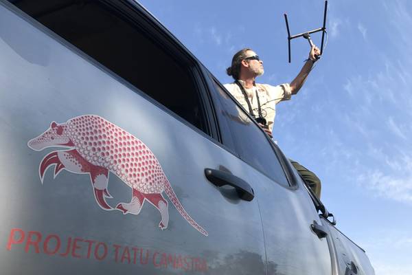 Arnaud Desbiez utilisant une antenne pour retrouver un animal sous collier traceur GPS