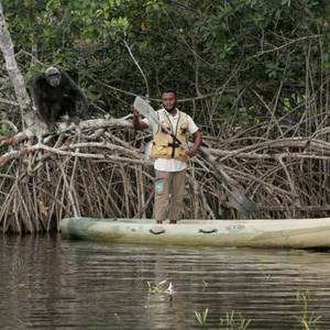 Protection de la biodiversité : comprendre l’urgence et agir à votre échelle.