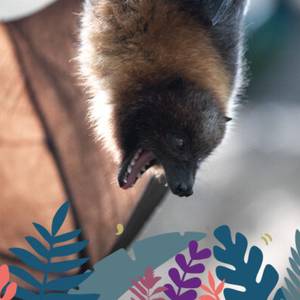 Halloween à Beauval : des frissons et des découvertes à la Maison Beauval Nature !