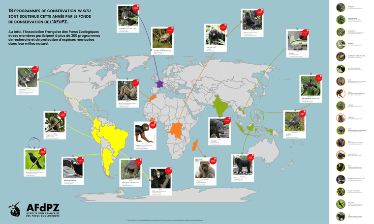 Planisphère de tous les programmes de conservation soutenus par l'AFdPZ en 2023