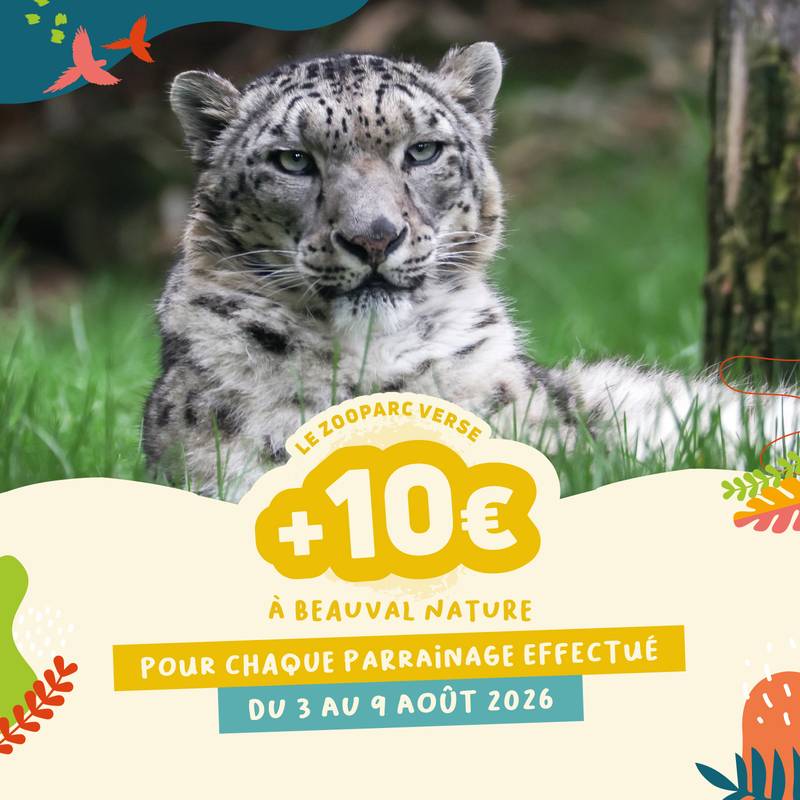 Abondement parrainage - Soutenez la biodiversité - Beauval Nature - ZooParc de Beauval