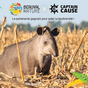 Prix Beauval Nature 2024 : votez pour votre programme préféré, du 6 avril au 3 novembre !