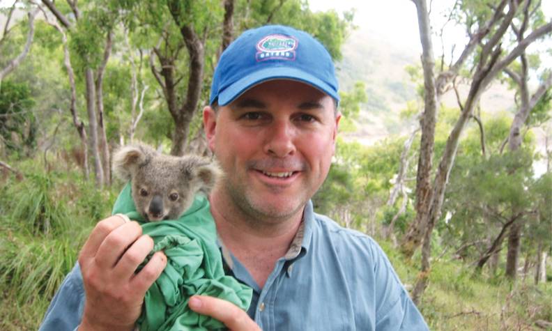 Bébé koala sauvé - Suivre les déplacements et surveiller l’état de santé des koalas - Programme Australie - Association Beauval Nature