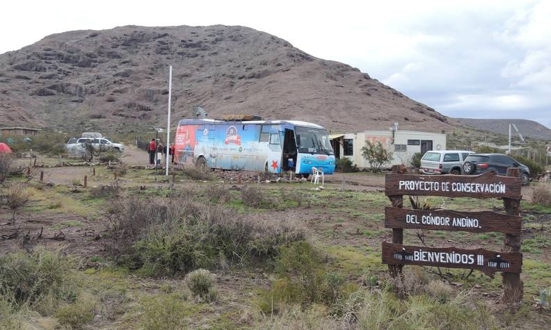 Aire protégée en Argentine - Protéger et relâcher le condor des Andes sacré - Programme Argentine - Association Beauval Nature