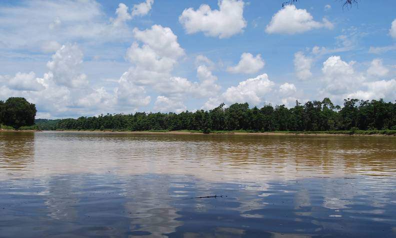 Paysage avec fleuve - Certifier les plantations d’huile de palme pour protéger la biodiversité - Programme Malaisie - Association Beauval Nature