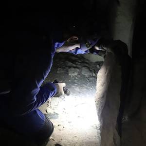 Ça bouge dans la cave de Beauval !