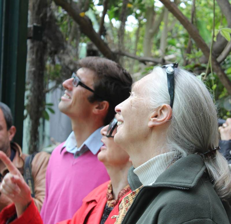 Jane Goodall’s visit to ZooParc de Beauval in 2011