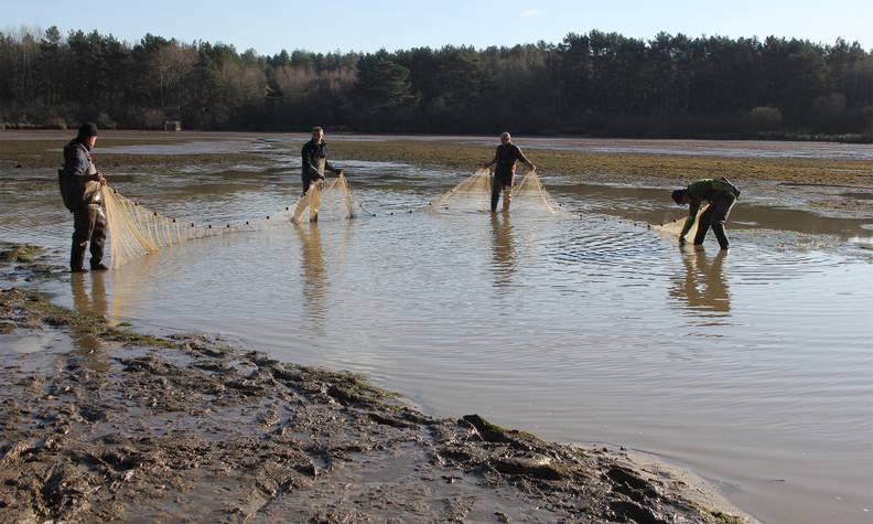 Prospection étang grenouille - Lutter contre la grenouille taureau pour préserver les amphibiens de Sologne - Programme France - Association Beauval Nature