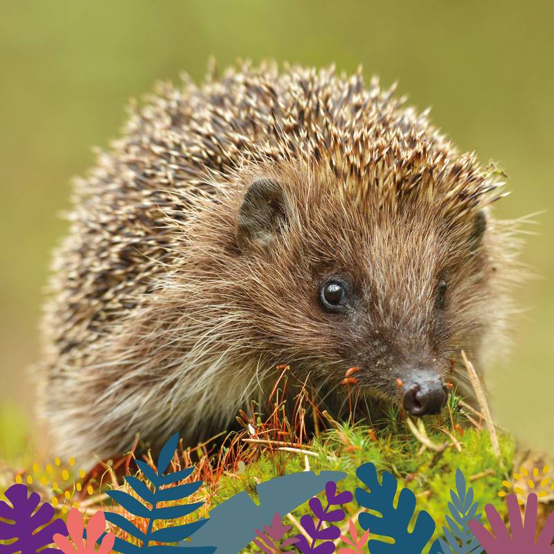 Animations Maison Beauval Nature - La nature se réveille - Mars 2026