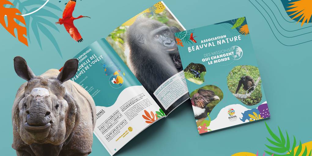 Communiqués et dossiers de presse - Association Beauval Nature - ZooParc de Beauval