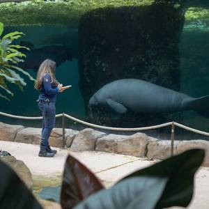 Des stages en éthologie proposés au ZooParc de Beauval