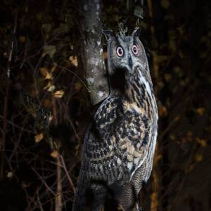 Des animations monstrueusement fun à la Maison Beauval Nature